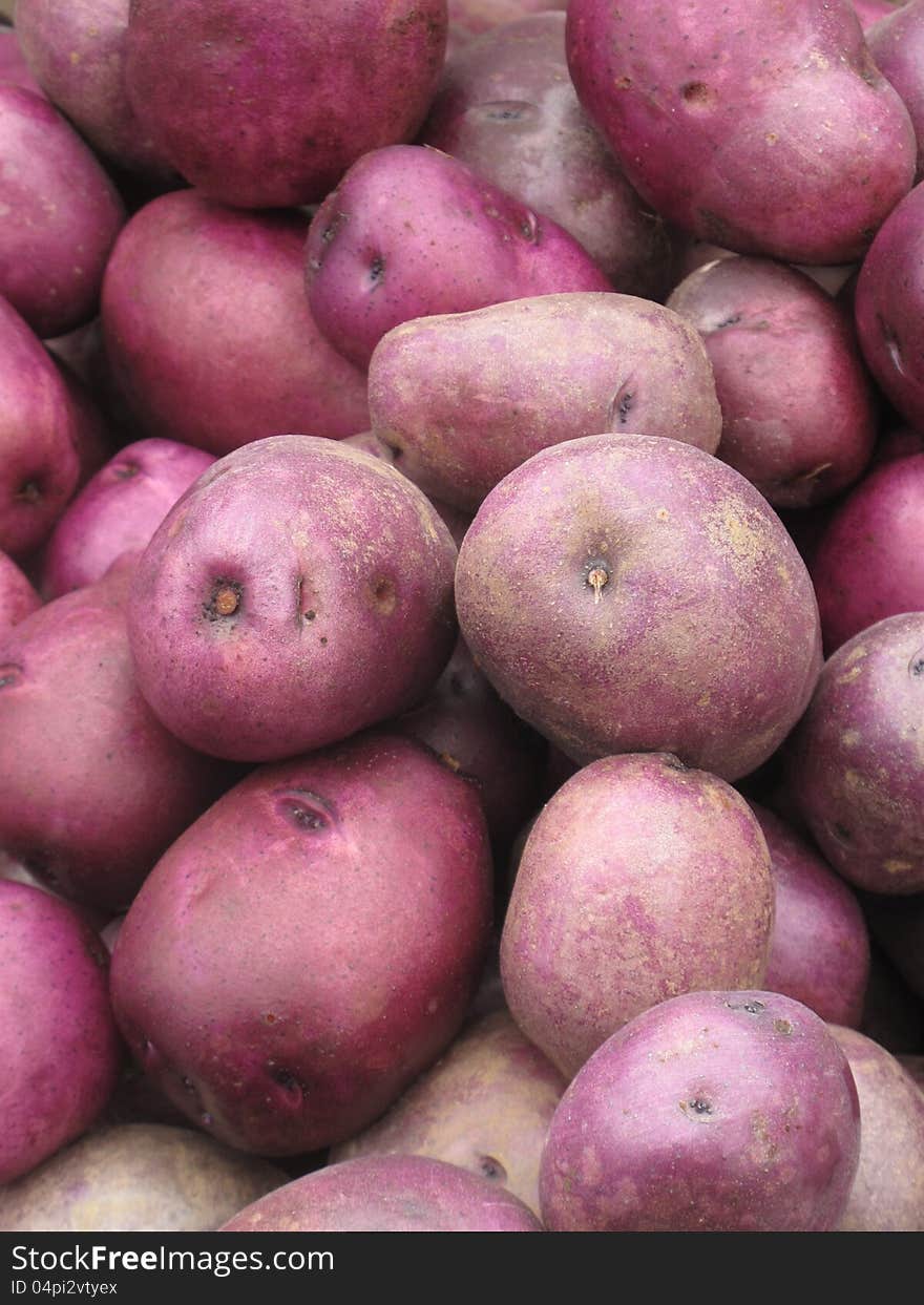 Organic Red Potatoes