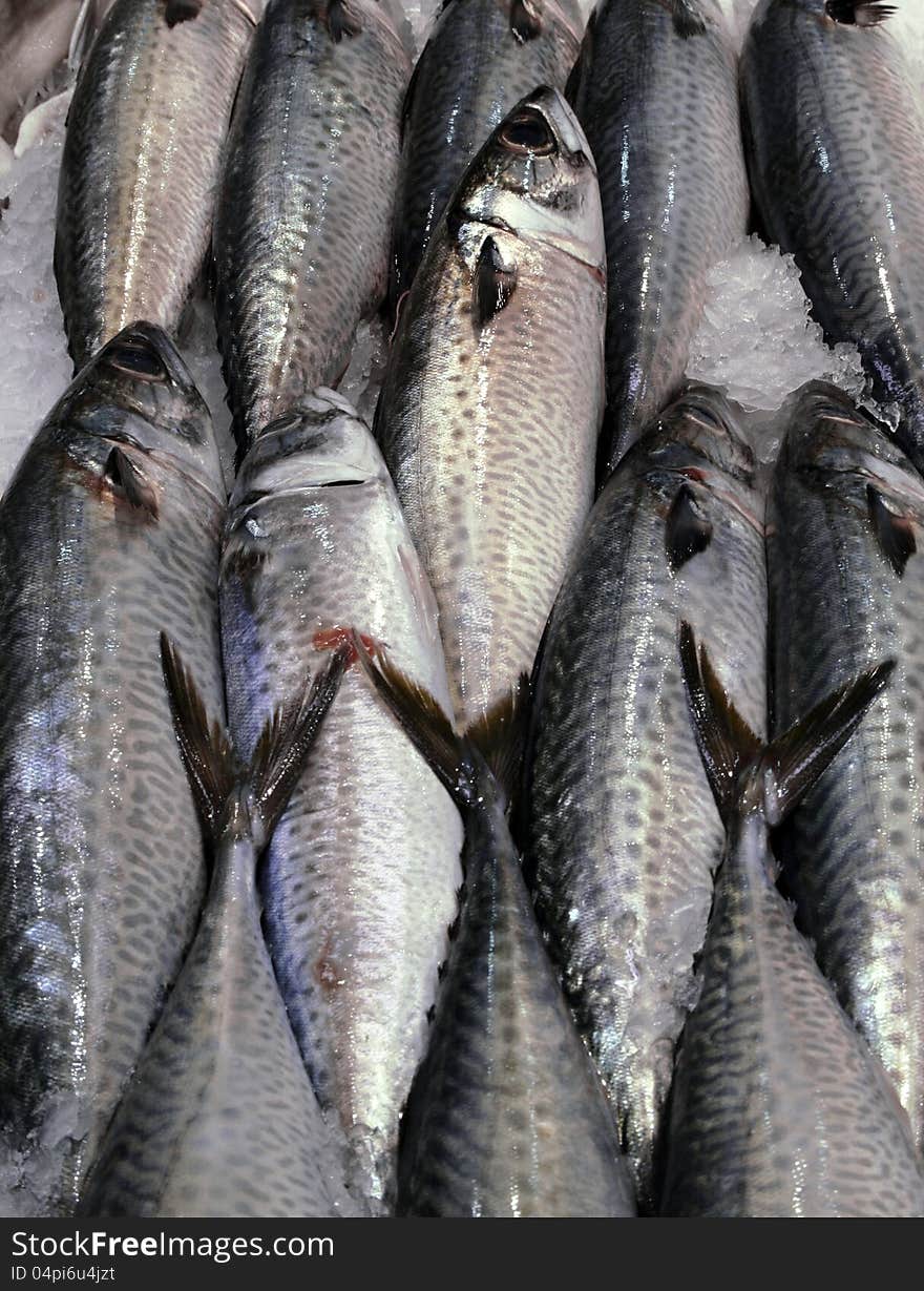 Fish on a fish counter of a shop in Madrid