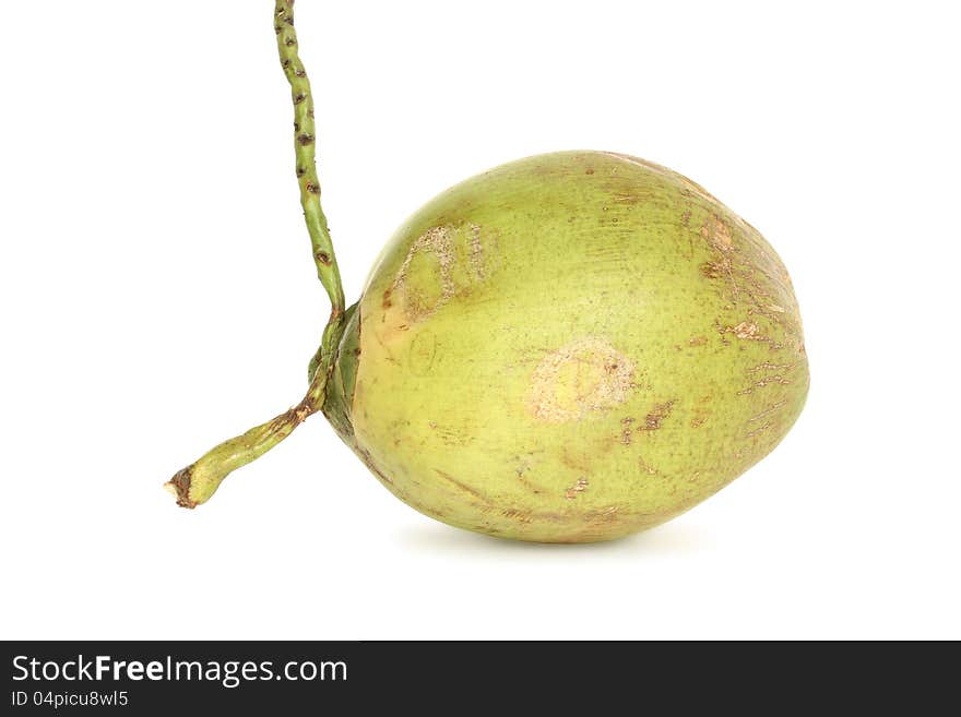 Green coconut  on white background