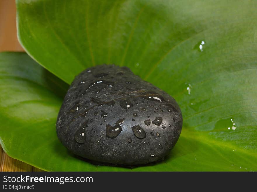 Sea smooth stones and green leaves. Sea smooth stones and green leaves