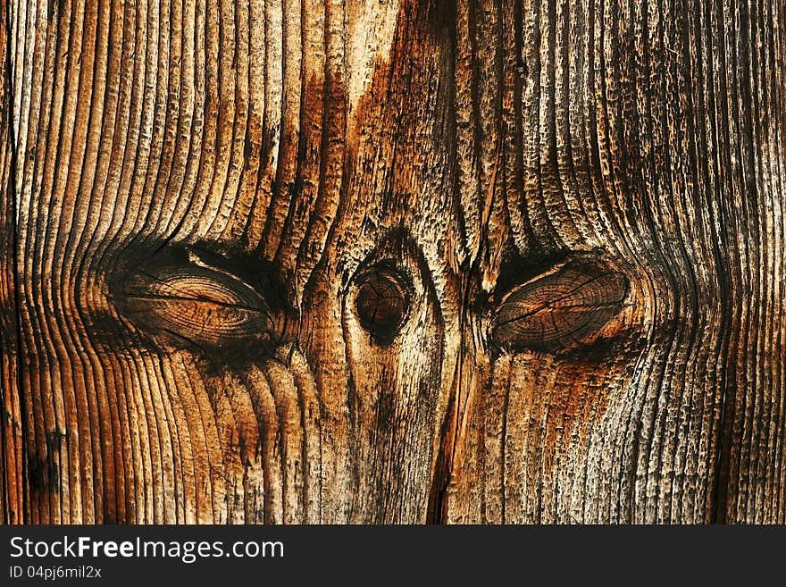 The nice structure on an old wooden board