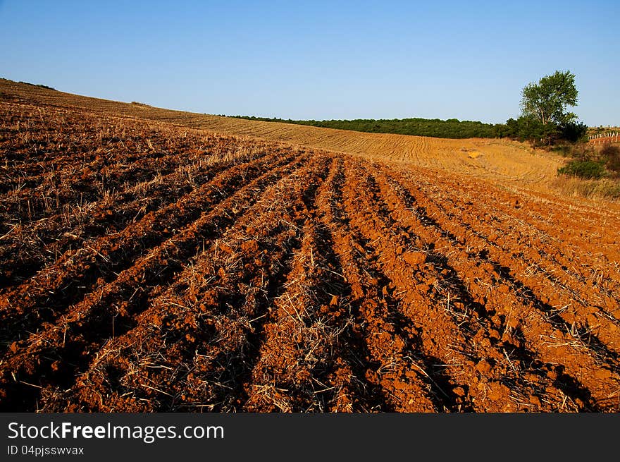 The driving field prepared for planting plowed field background. The driving field prepared for planting plowed field background