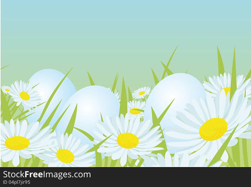 Easter white eggs on the daisy field