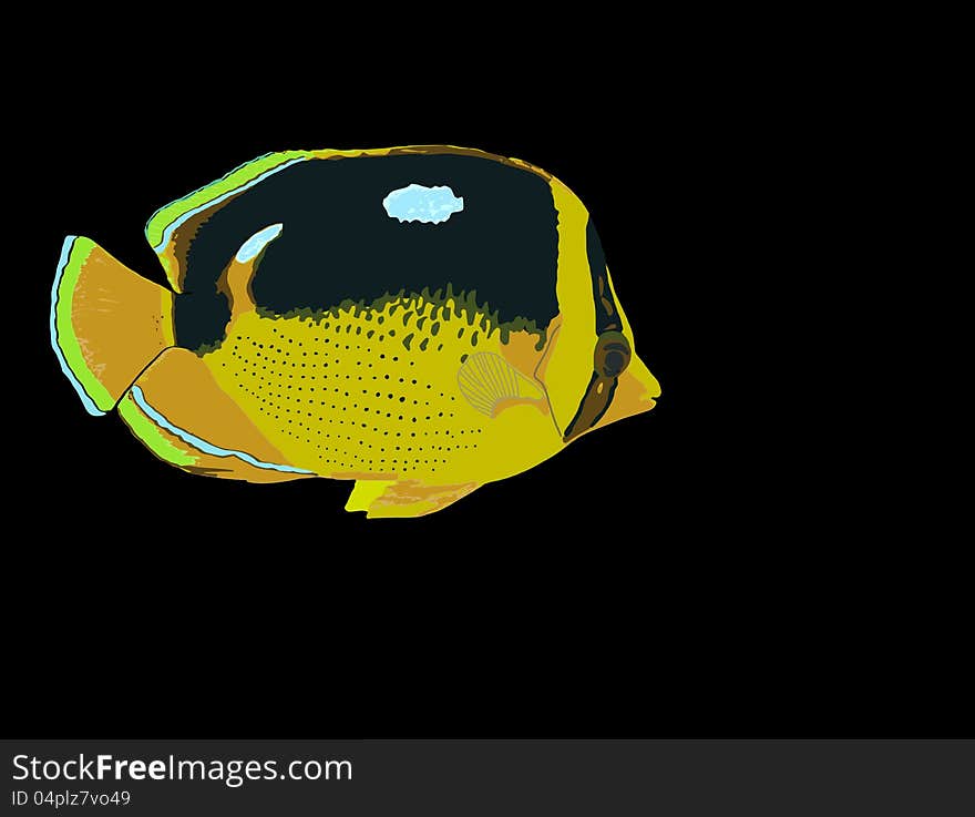 Fourspot Butterflyfish illustration on a black background. Fourspot Butterflyfish illustration on a black background