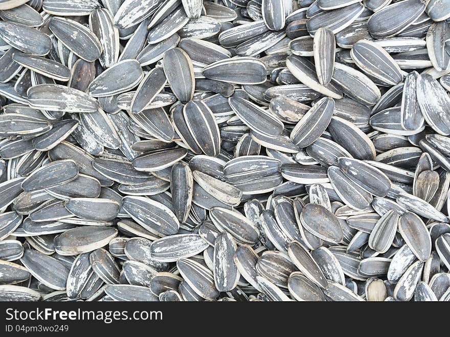 Group of fresh raw sunflower seed in top view