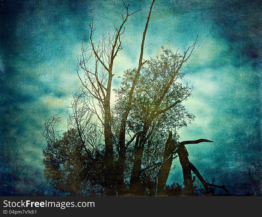 Abstract grunge textured vintage background with tree. Abstract grunge textured vintage background with tree.