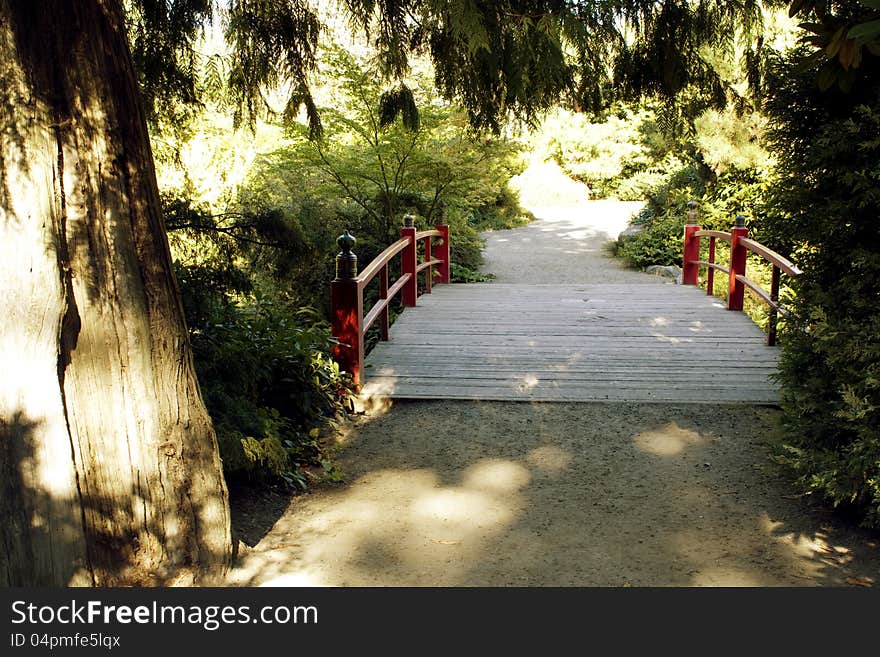 A welcoming pine tree by the path leading to a red bridge and more adventure. A welcoming pine tree by the path leading to a red bridge and more adventure.