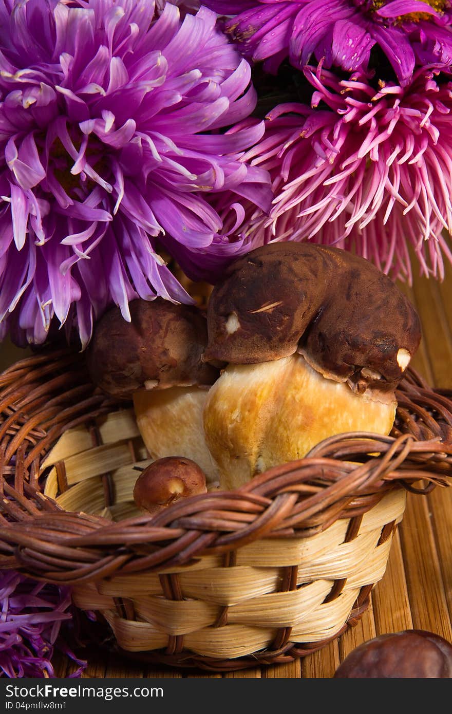 Bouquet of autumn flowers and mushrooms. Bouquet of autumn flowers and mushrooms