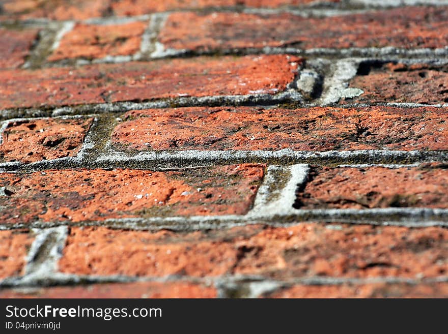 Detail of a red brick pathway. Detail of a red brick pathway