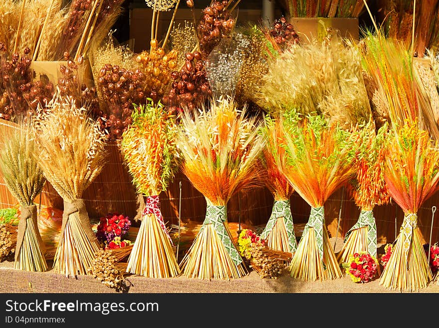 Nature decore. macro, ears of grain