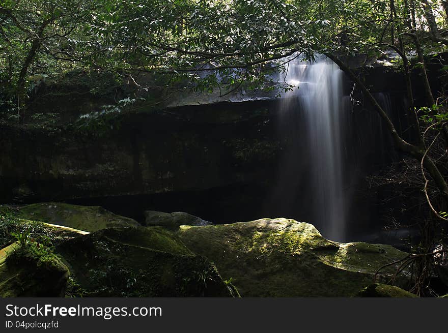 The waterfall in the jungle.