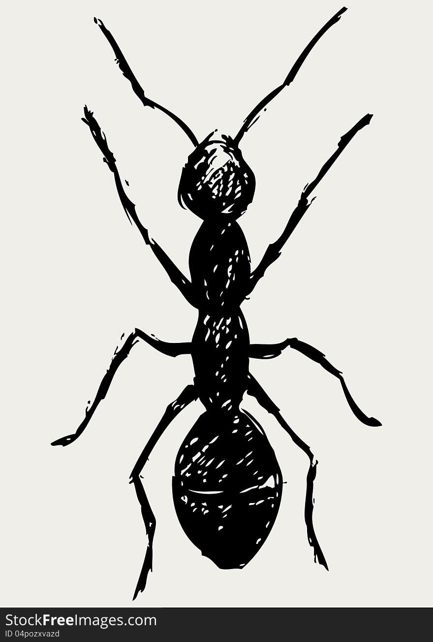 Portrait of ant