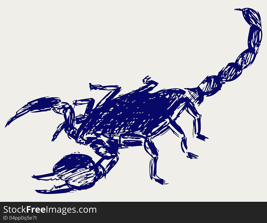 Emperor Scorpion. Doodle style. Vector