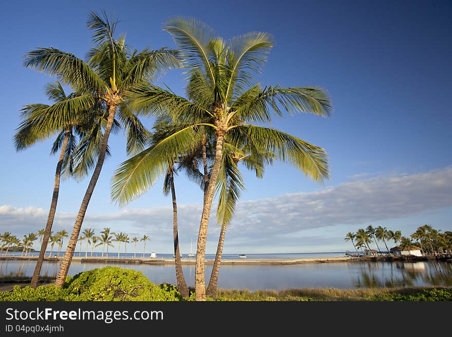 High resolution of Hawaiian tropical beach and lagoon with beautiful palm trees, basking in the morning sun. High resolution of Hawaiian tropical beach and lagoon with beautiful palm trees, basking in the morning sun