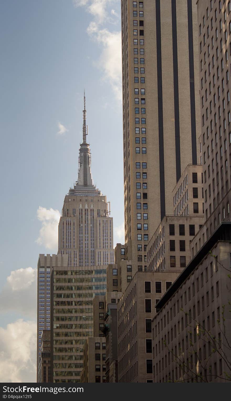 Buildings on Fifth Avenue, NYC