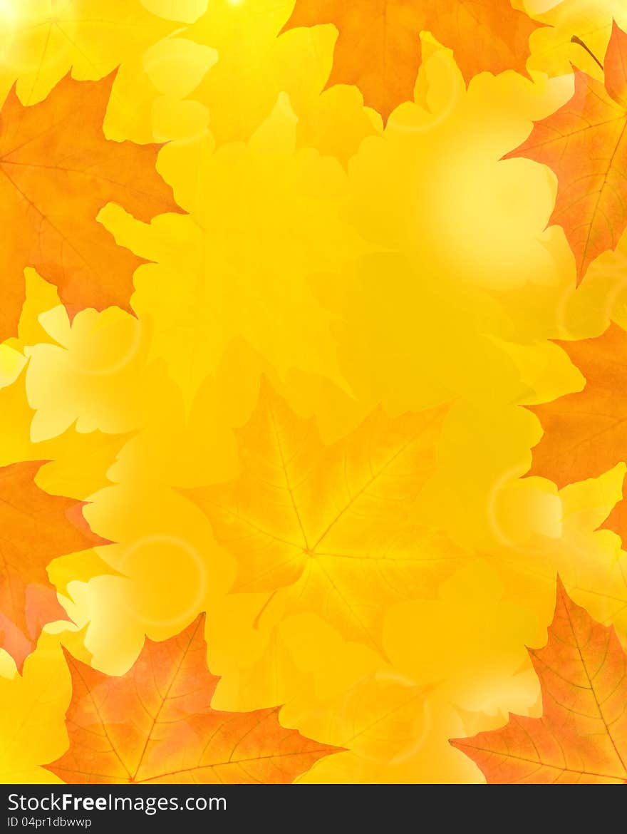 Golden autumn maple leaves background. Golden autumn maple leaves background