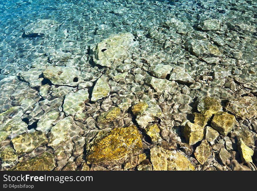 Clear, transparent water on Croatian coast with stones and black urchins. Clear, transparent water on Croatian coast with stones and black urchins