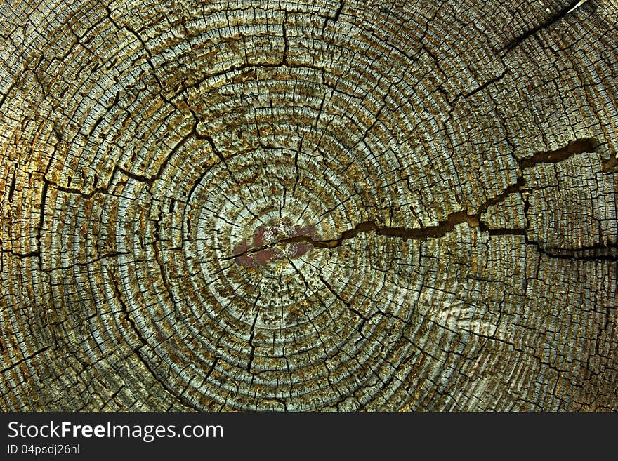 Abstract crack wood ancient Markings on the stump.