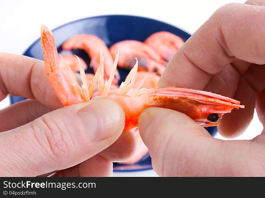 Eating cooked shrimps with fingers. Eating cooked shrimps with fingers