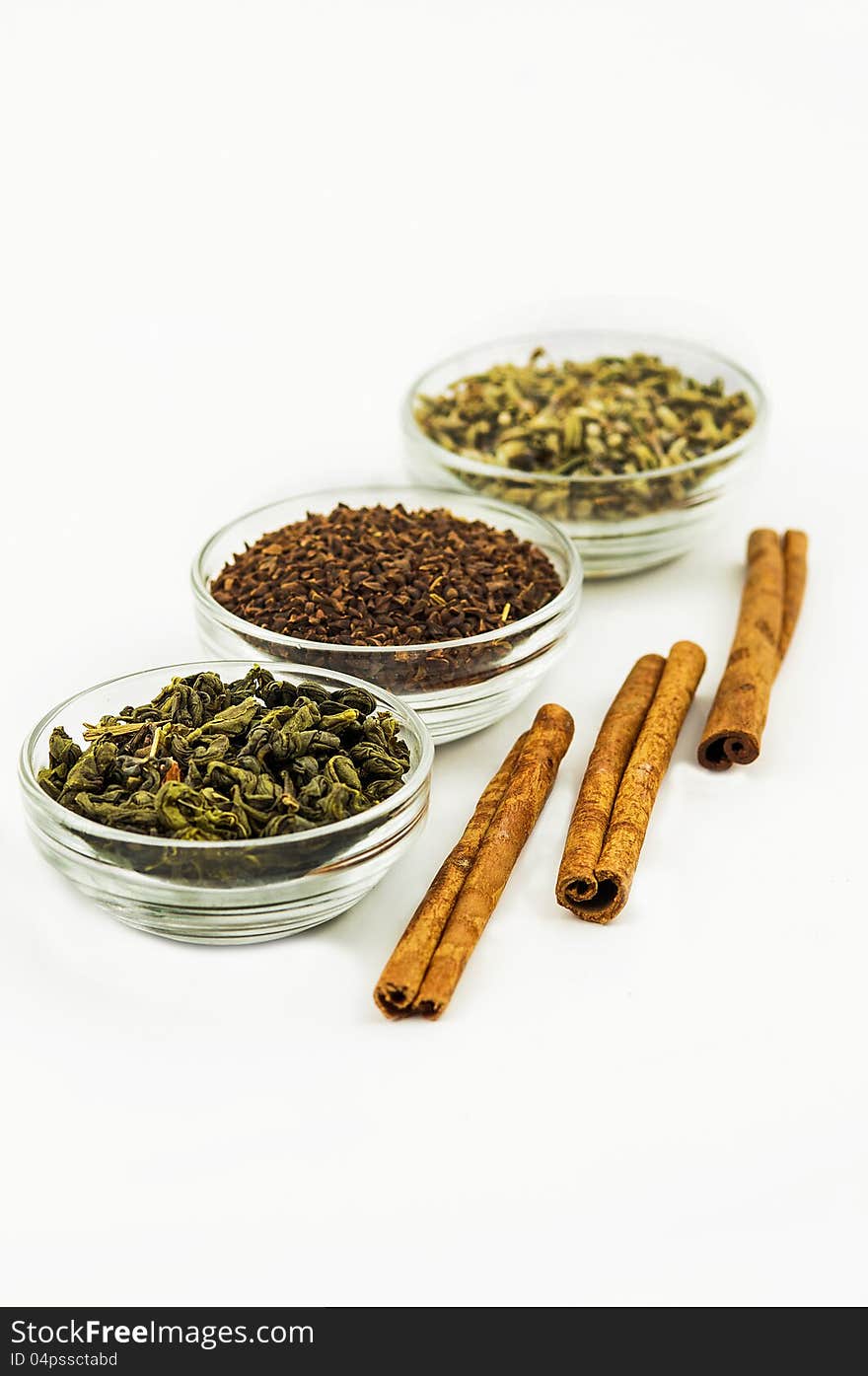 Branch of green tea, cinnamon, spices . Branch of green tea, cinnamon, spices