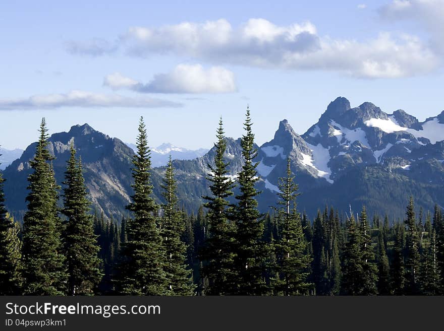 Beautiful tree line and mountain shapes. Nice cloudscape. Mt. Rainier. Beautiful tree line and mountain shapes. Nice cloudscape. Mt. Rainier.