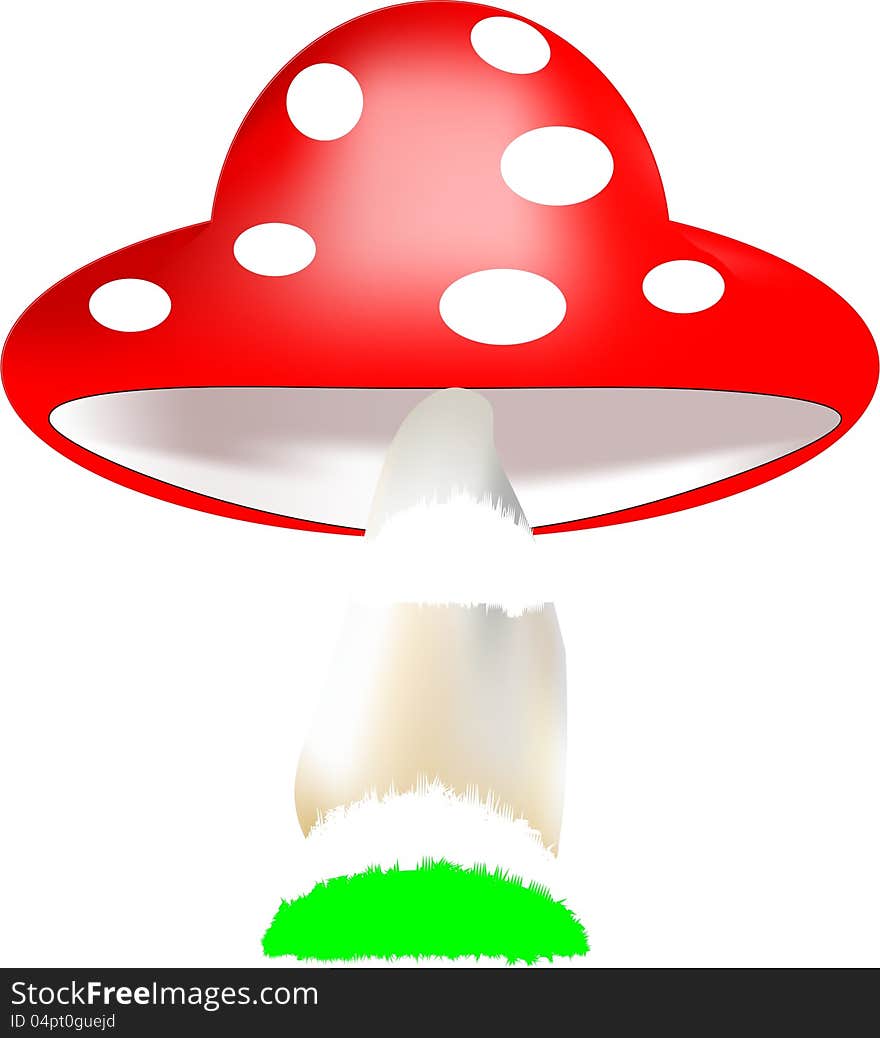 Mushroom