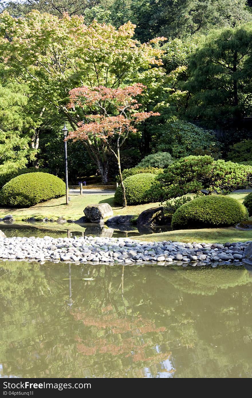 A picturesque Japanese garden with pond in summer time in Seattle.