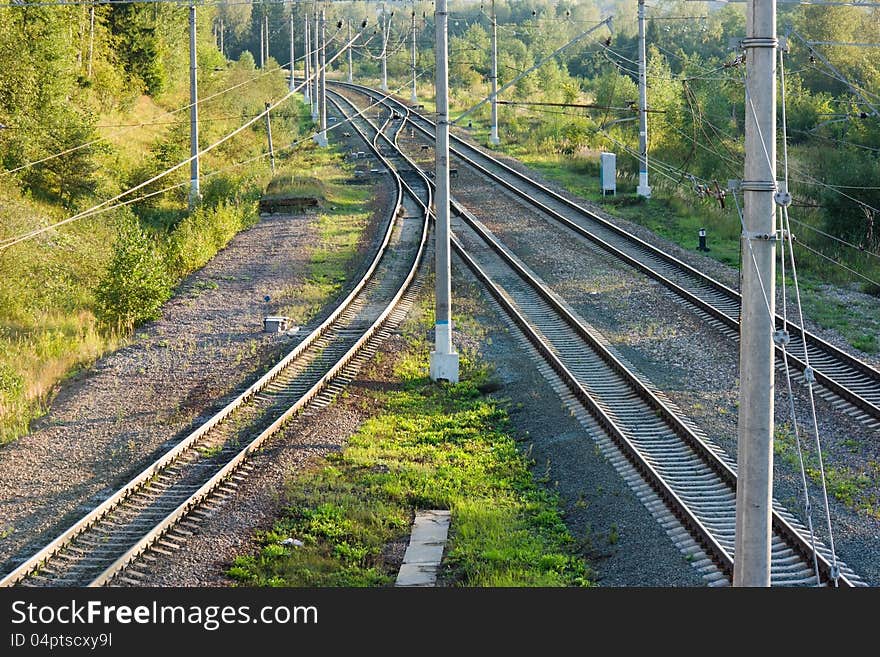 Railroad Tracks In Forest Horizontal View