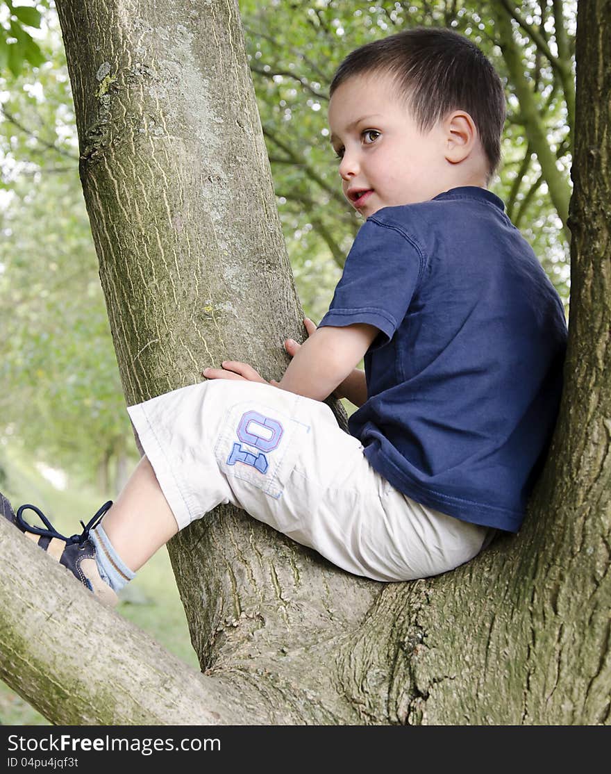 Portrait of an child boy climbing a tree; sitting in a v-shaped trunk. Portrait of an child boy climbing a tree; sitting in a v-shaped trunk.