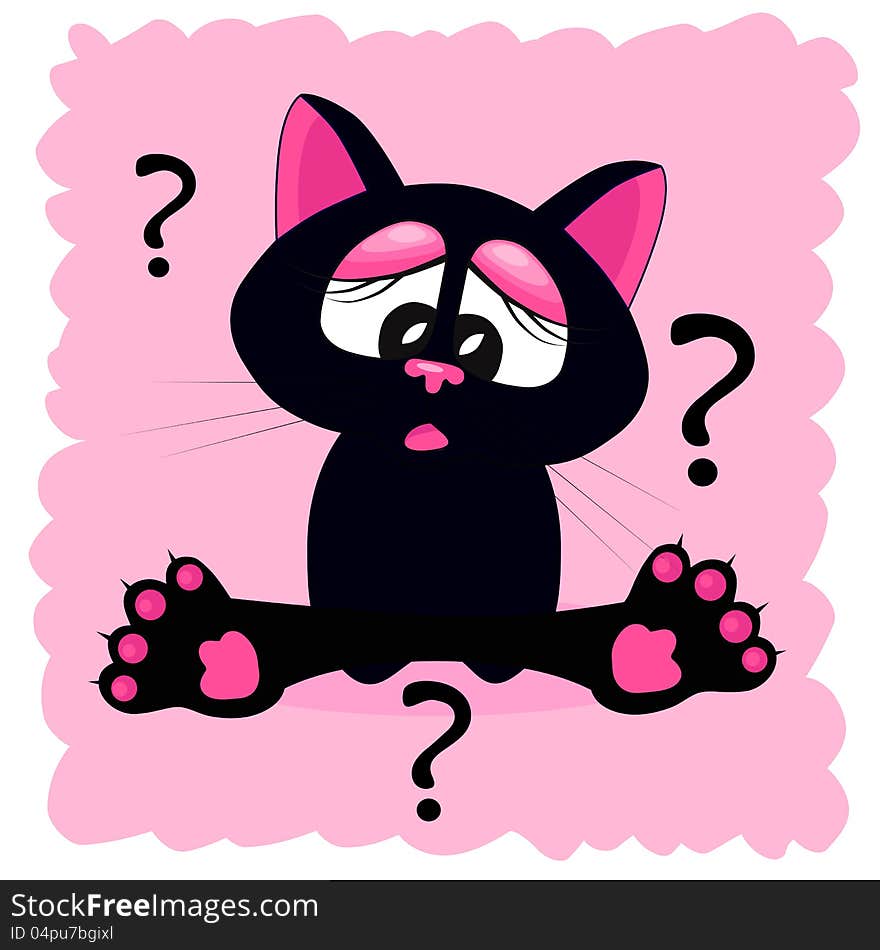 Black cat and the question