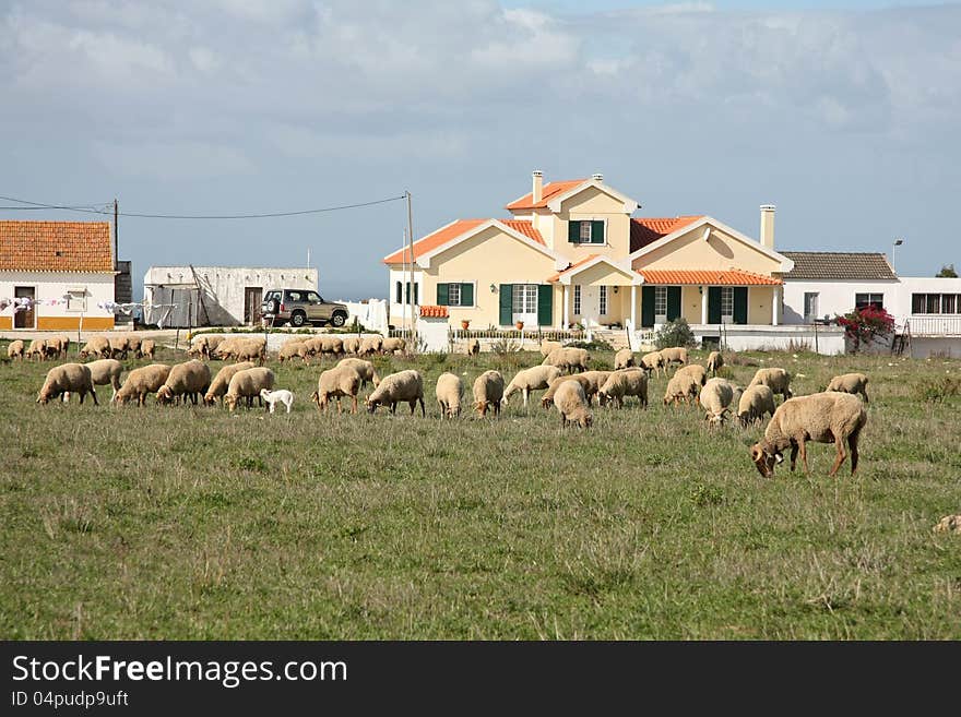 Portuguese village.