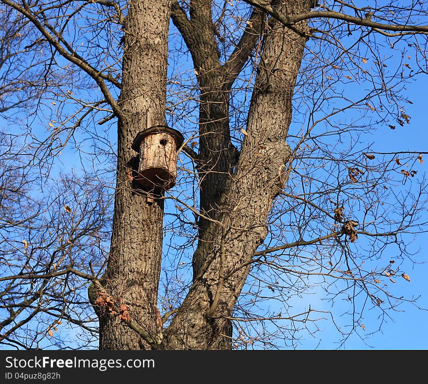 Birdhouse among the bare branches of a tree against a blue sky. Birdhouse among the bare branches of a tree against a blue sky