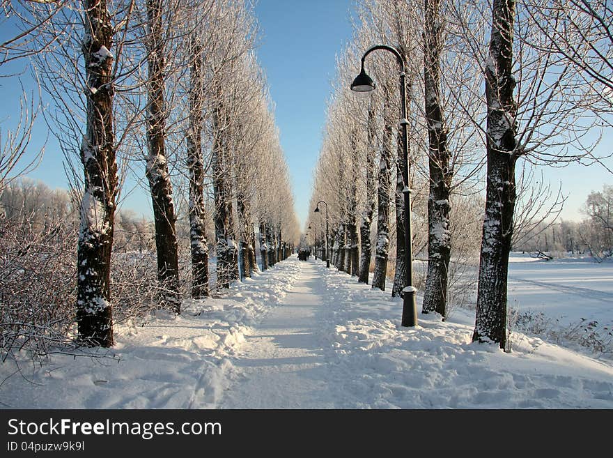 Beautiful view of the snow-covered park. Beautiful view of the snow-covered park