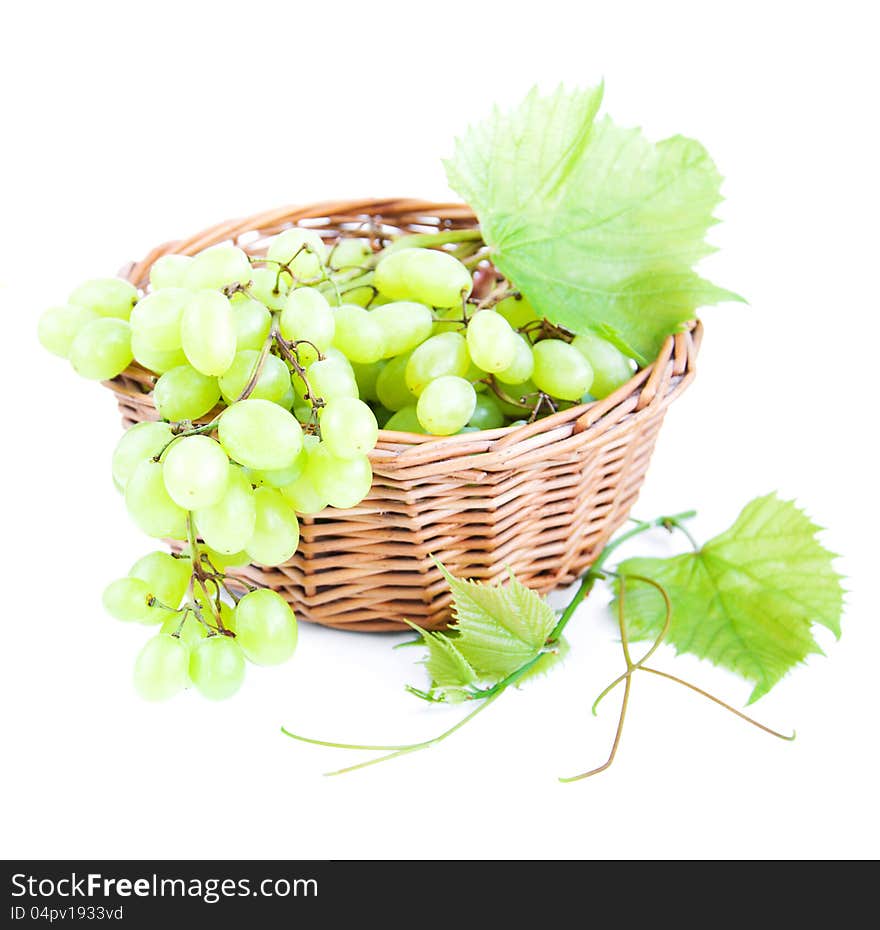 Grape Cluster