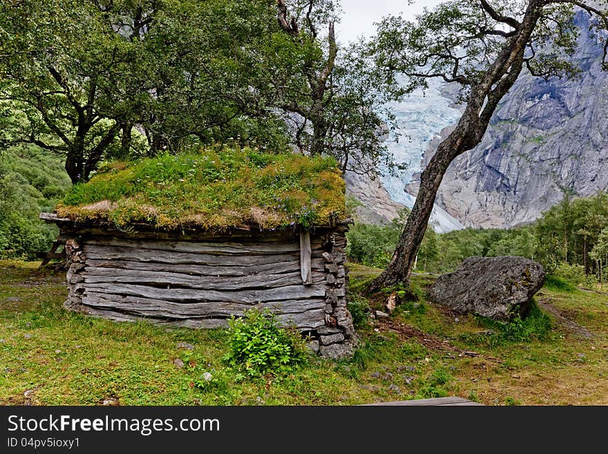 Old wooden shack in forest