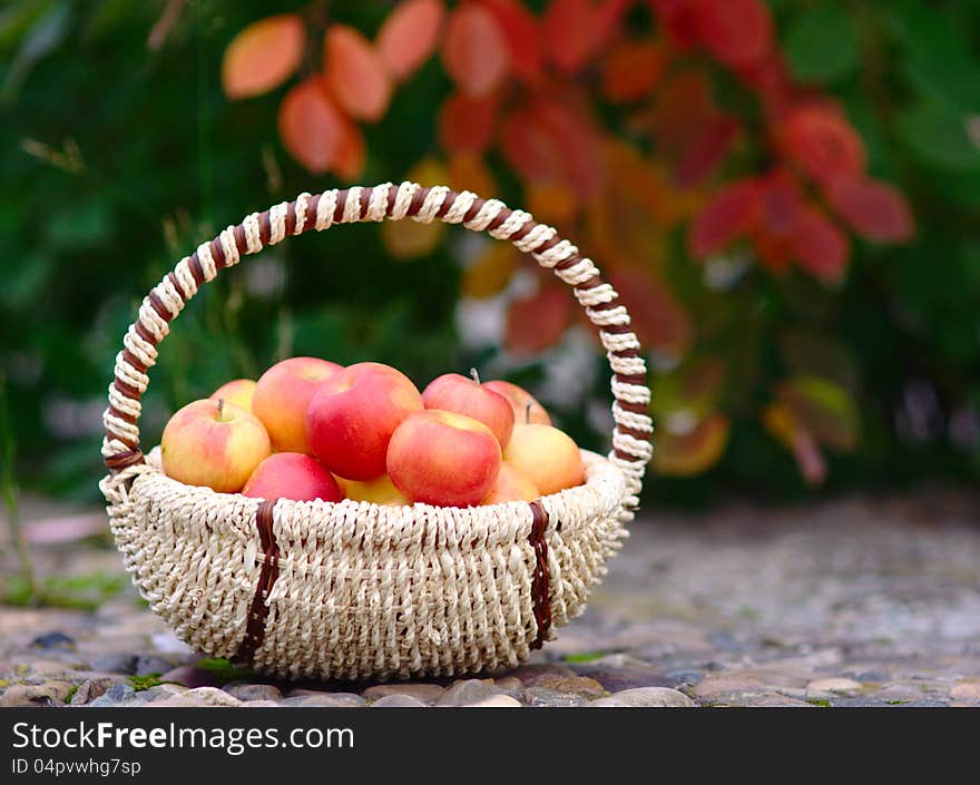 Red Apples in the Basket