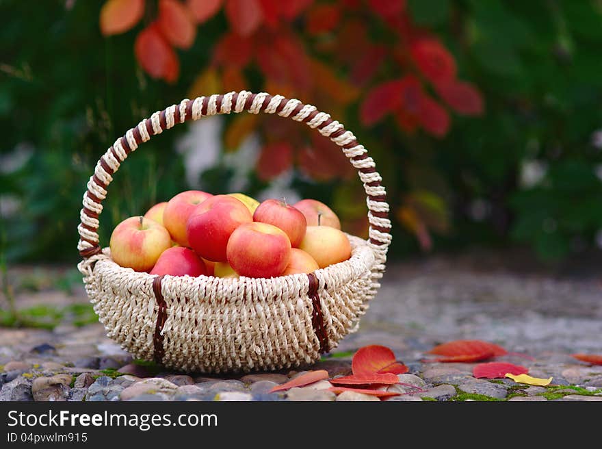 Red Apples in the Basket