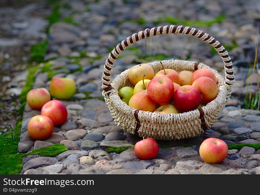 Red Apples in the Basket