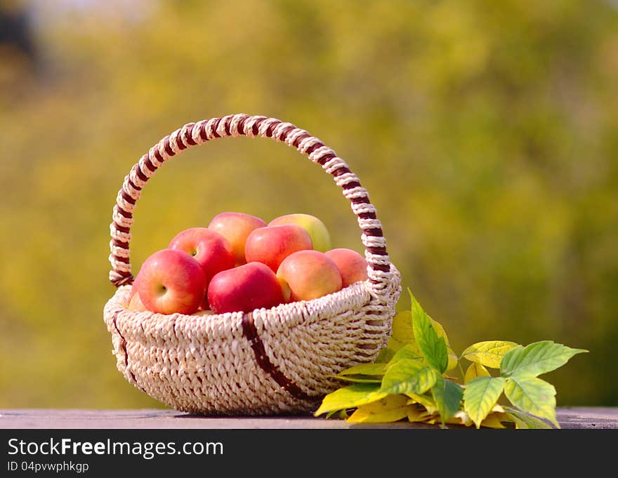 Red Apples in the Basket