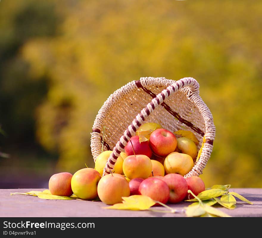 Red Apples in the Basket