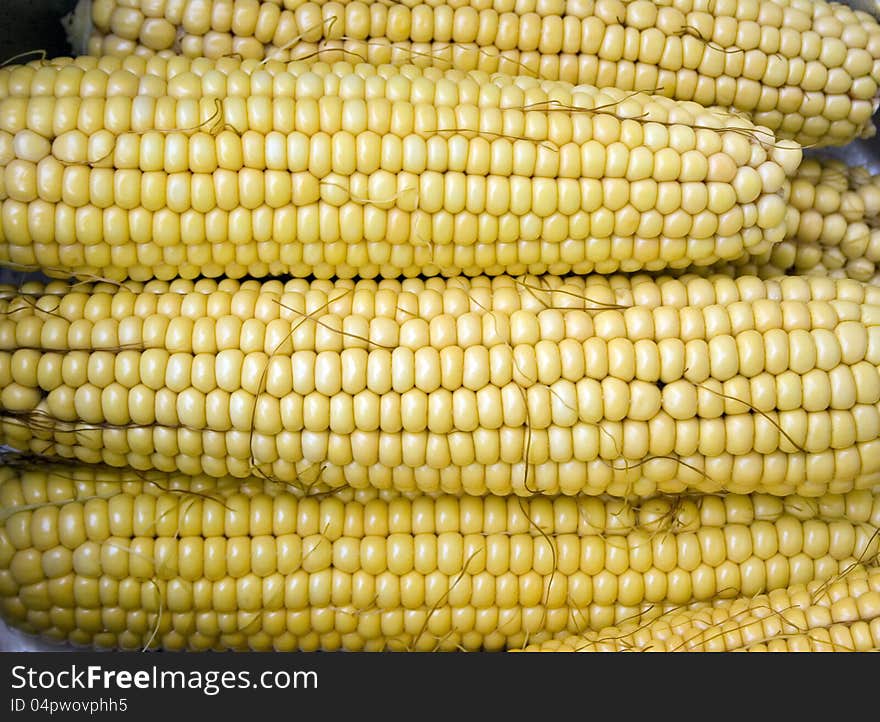 Multiple stacked corn on the cobs of white with yellow corn in the kernels. Multiple stacked corn on the cobs of white with yellow corn in the kernels