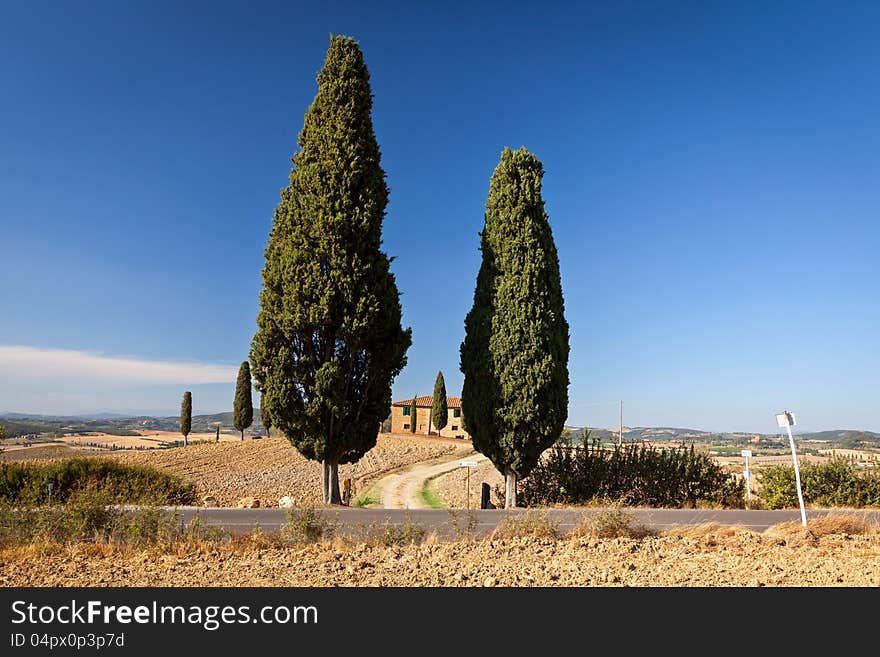 Tuscan countryside near Pienza, Tuscany, Italy