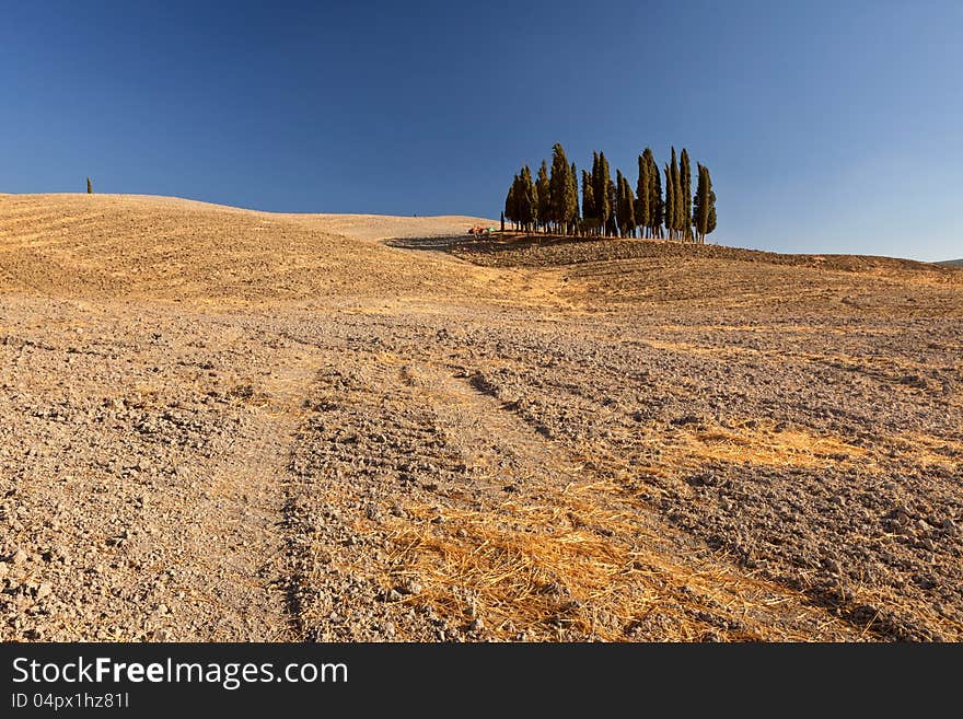 Tuscan countryside, Tuscany, Italy