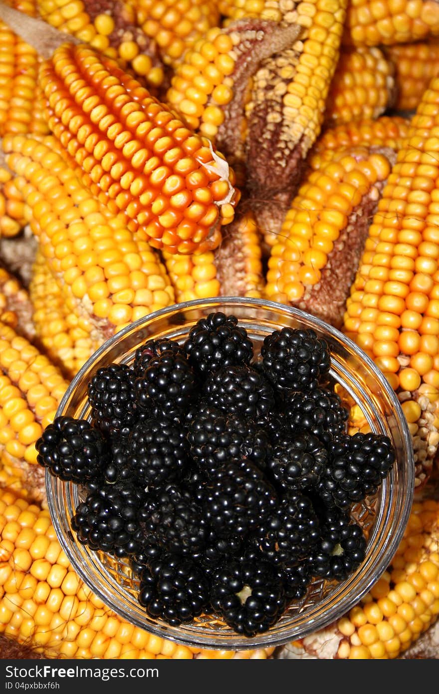 Blackberries on the dish staying on maize cops. Blackberries on the dish staying on maize cops