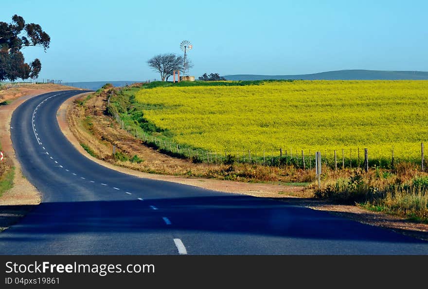 Landscape of windmill water pump in yellow field. Landscape of windmill water pump in yellow field