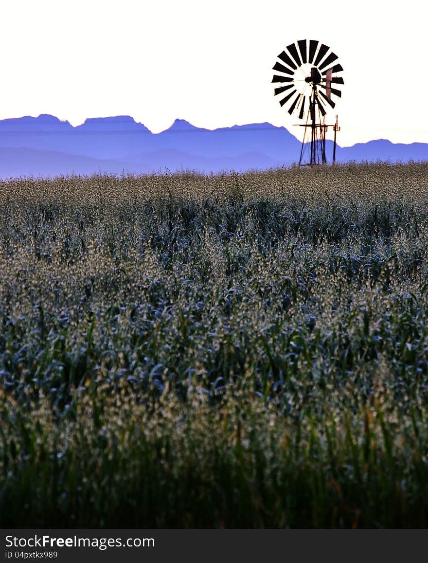 Landscape with windmill water pump at sunrise with ceres mountains