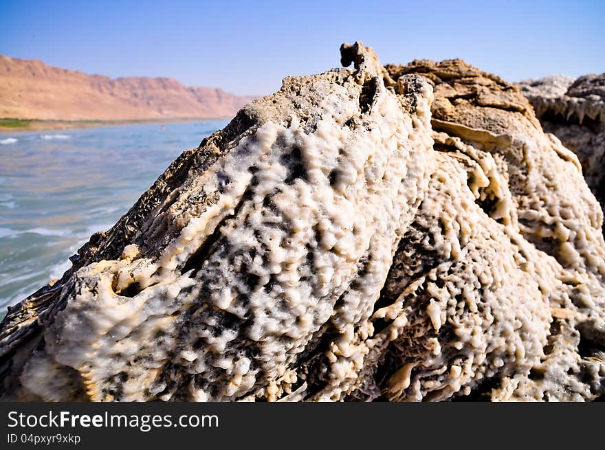 Crystalic salt on the beach of the Dead Sea,