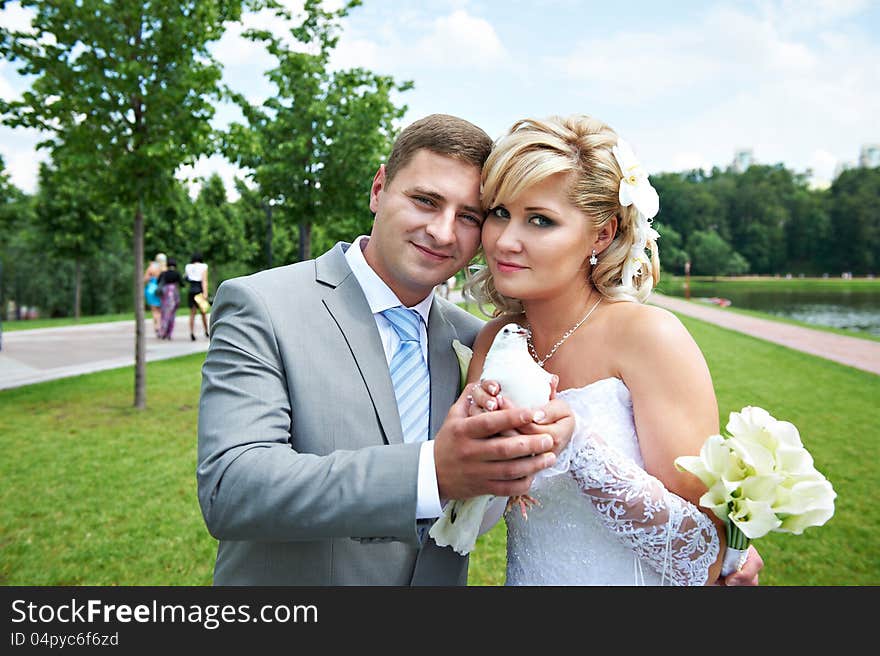 Bride and groom with pigeon on the wedding walk. Romantic kiss. Bride and groom with pigeon on the wedding walk. Romantic kiss.