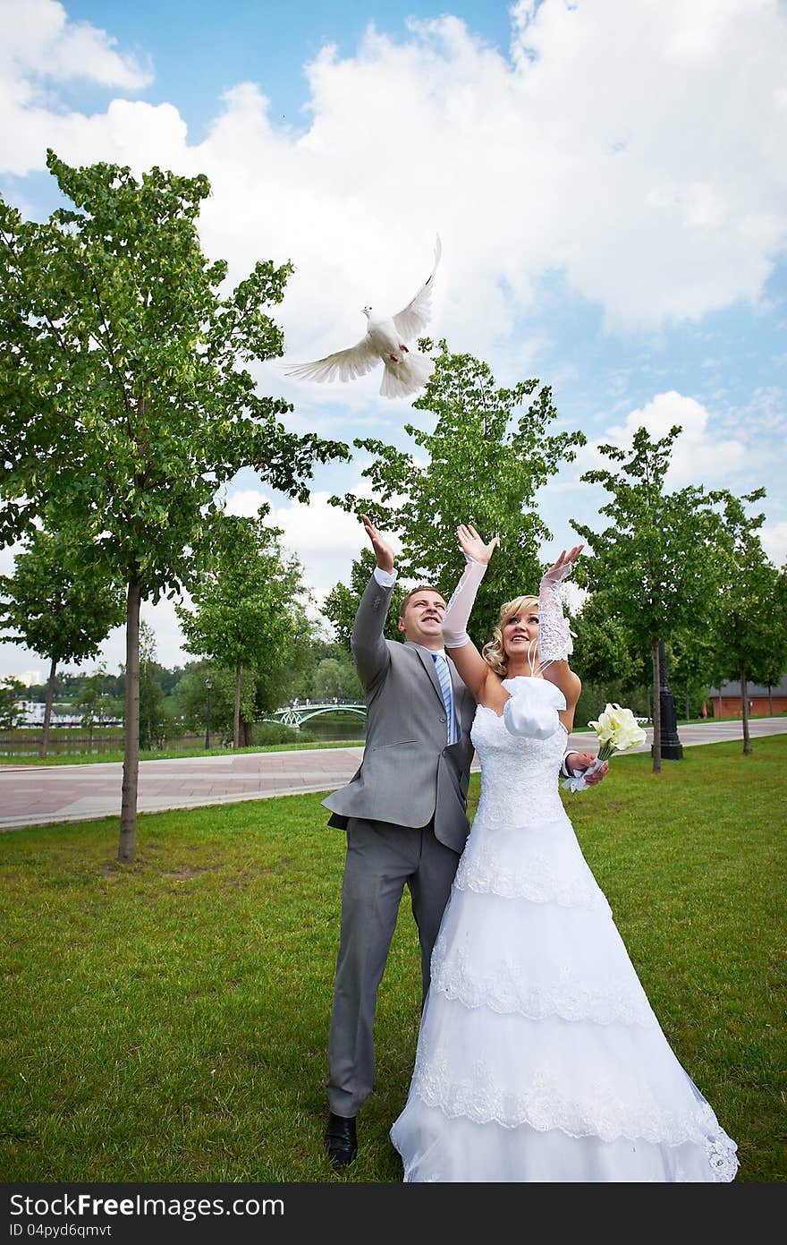 Bride and groom release pigeon