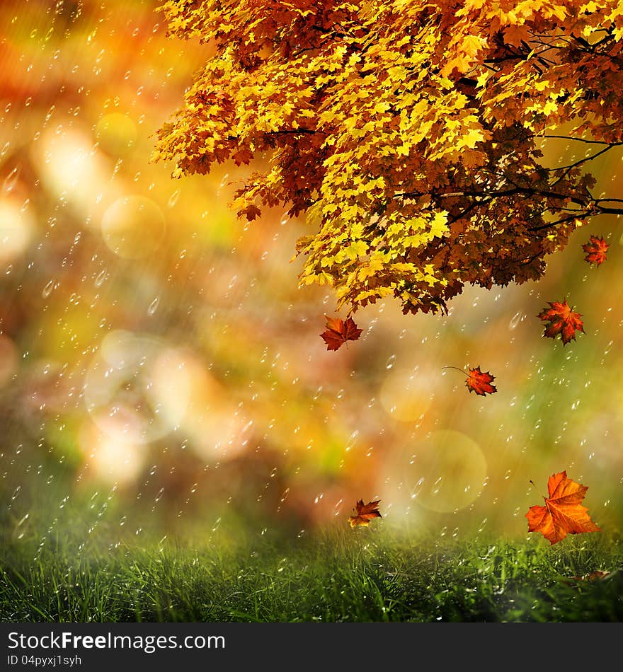 Autumn, abstract natural backgrounds